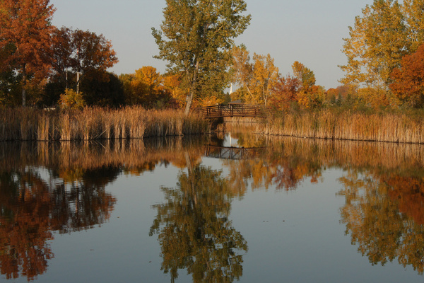 Fall reflections 2012 - Seasonal Collection 2012