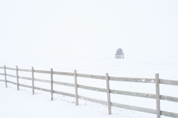 Follow the fence - SW Minnesota
