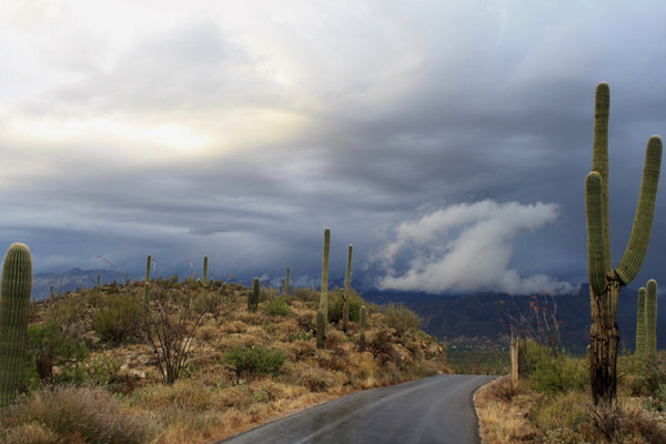 White cloud - Tuscon, Arizona