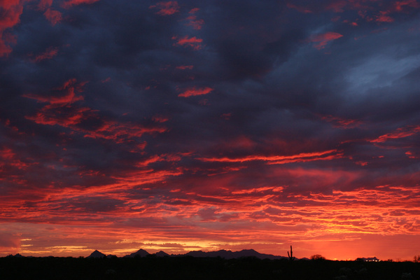 ~Anticipation~ - Tuscon, Arizona