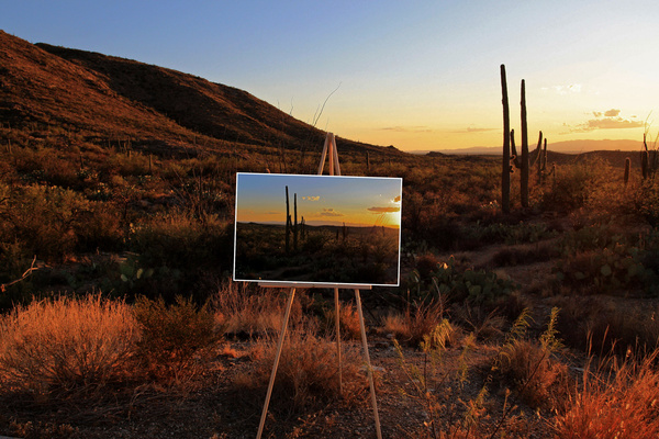 Natures Canvas - Tuscon, Arizona