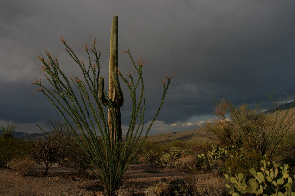 Storm threat - Tuscon, Arizona