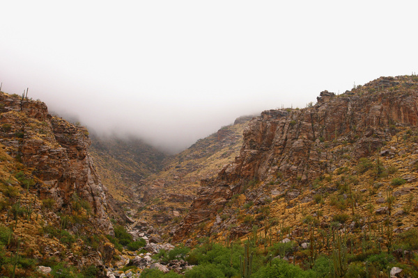 Clouded In - Tuscon, Arizona