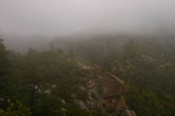 In the clouds - Tuscon, Arizona