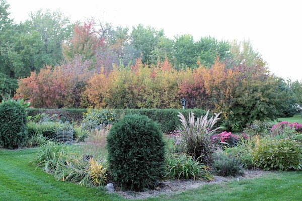 Autumn Garden - Nature