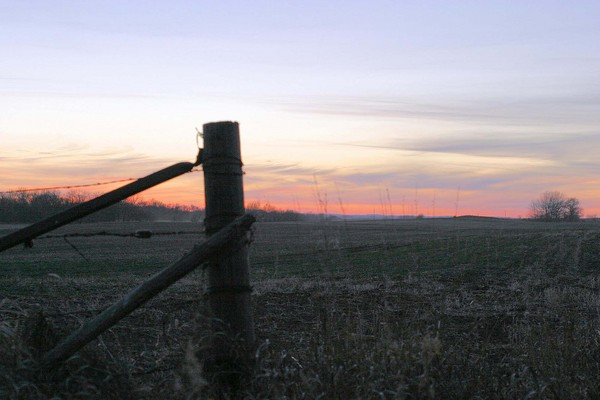 Corner Post - Nature