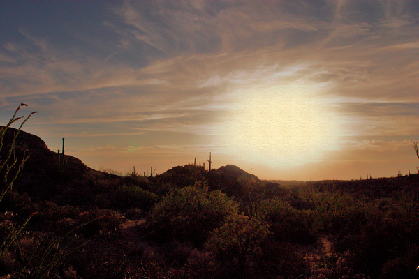 Desert Exposure II - Tuscon, Arizona