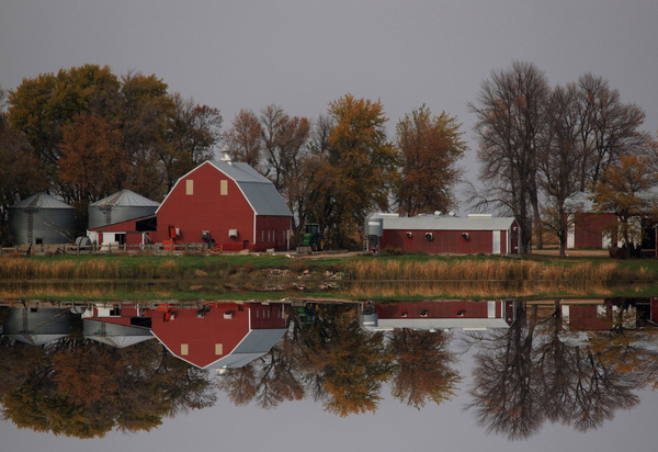 Autumn Farm Reflections - SW Minnesota