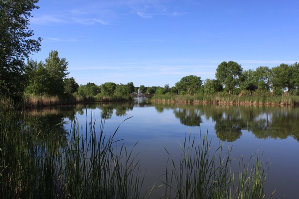 Last days of Spring II - Marshall, Minnesota
