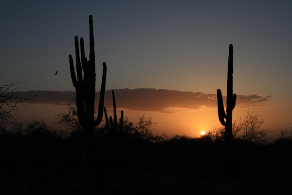 Tucson sunset - Tuscon, Arizona