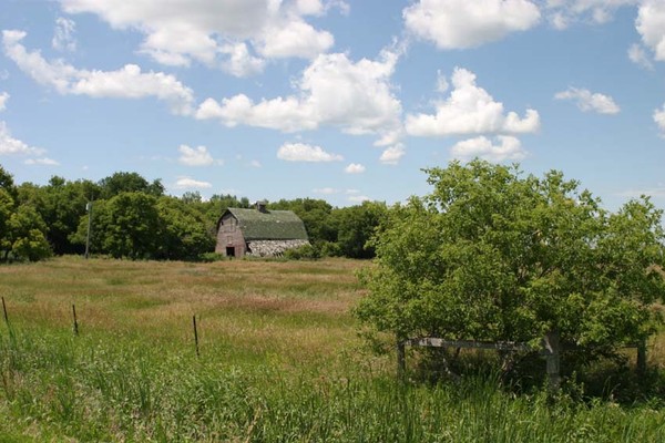 Mapleton Barn - Barns & Remnants