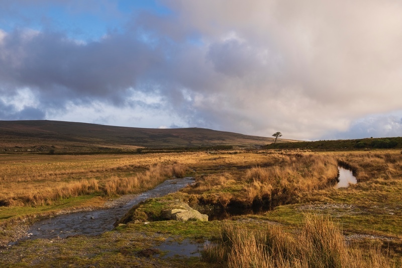  - Dartmoor