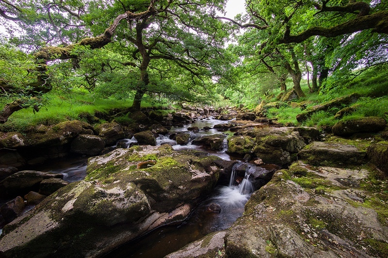 - Dartmoor