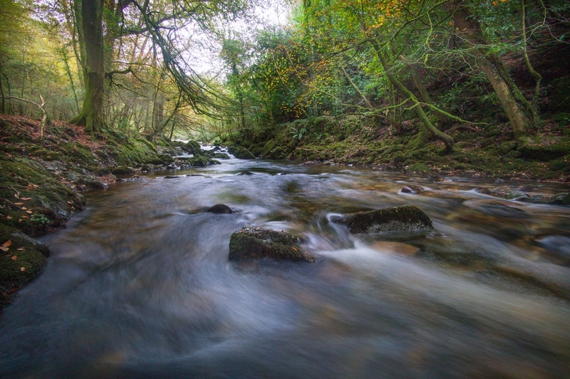  - Dartmoor