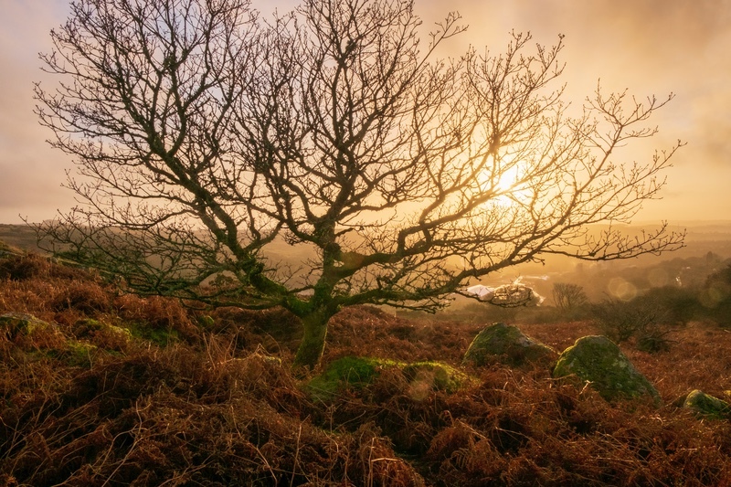  - Dartmoor