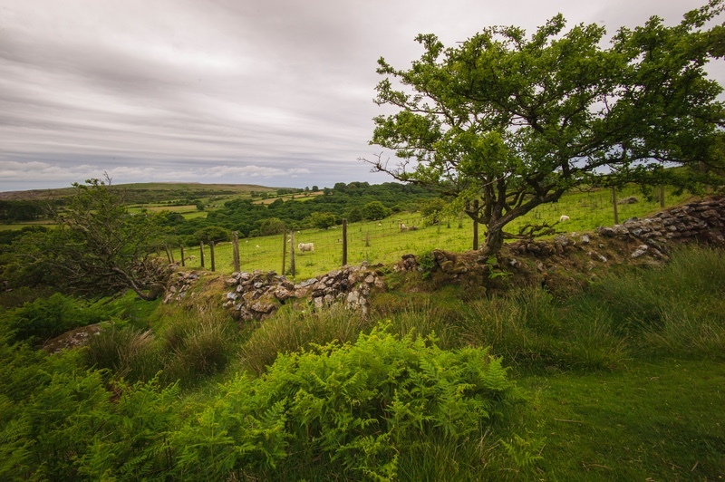  - Dartmoor