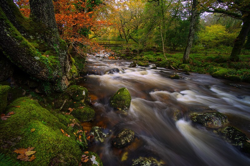 Shaugh Prior Footbridge - Dartmoor