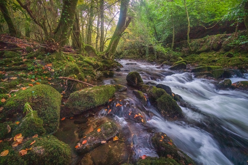  - Dartmoor