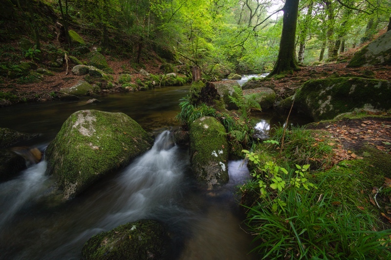  - Dartmoor