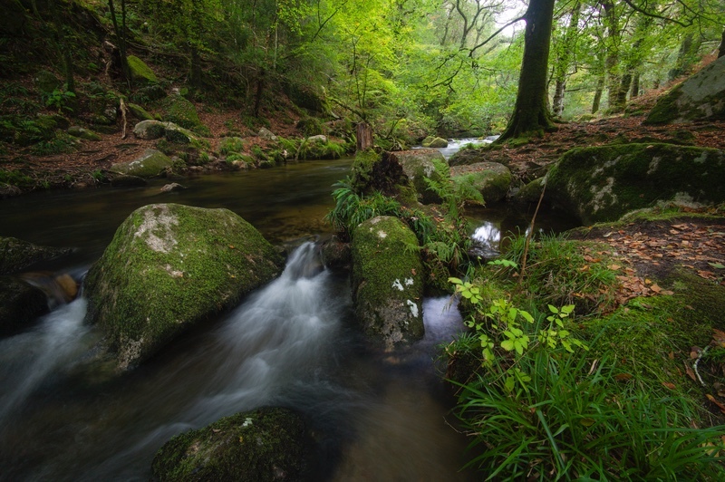  - Dartmoor