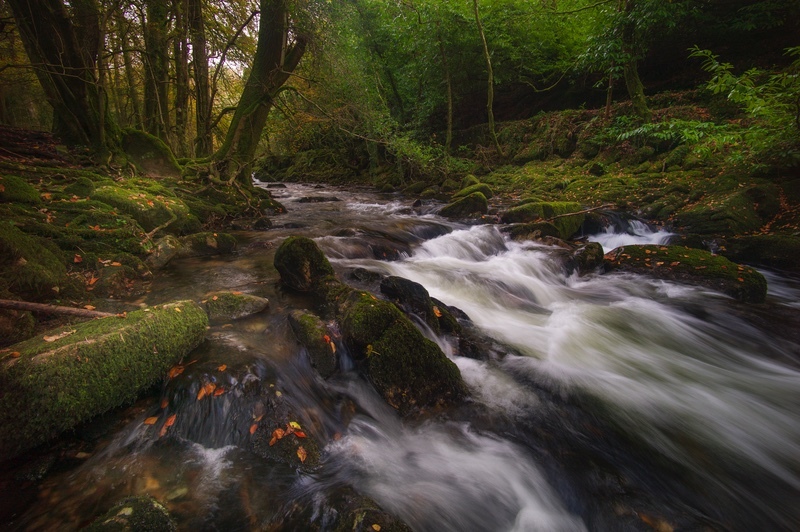  - Dartmoor