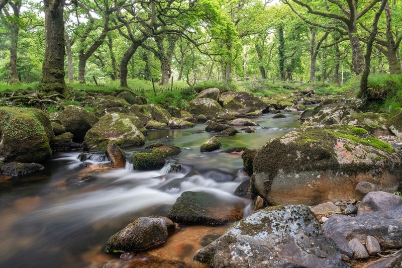  - Dartmoor