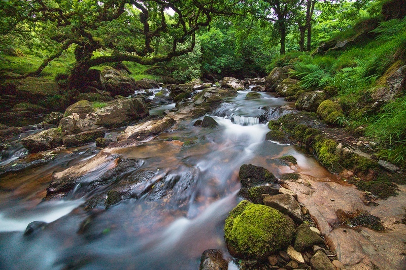  - Dartmoor