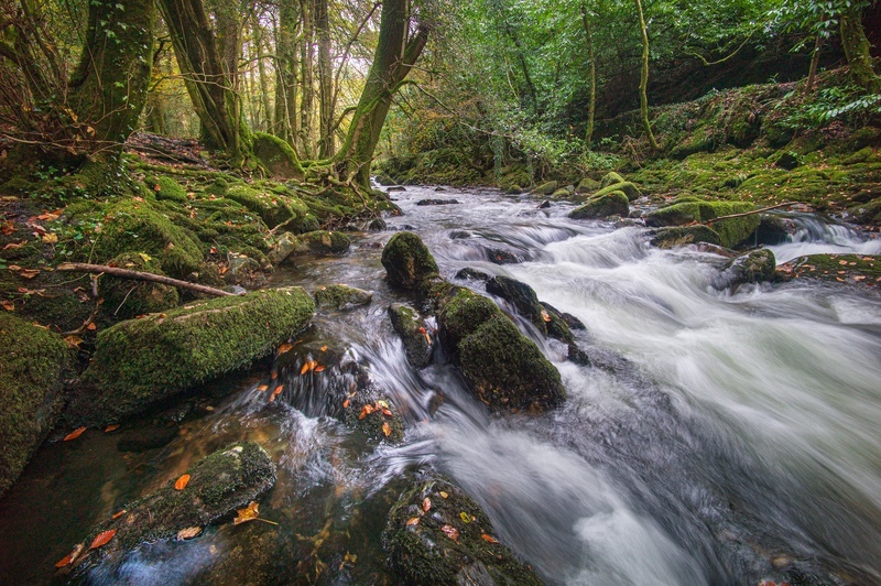  - Dartmoor