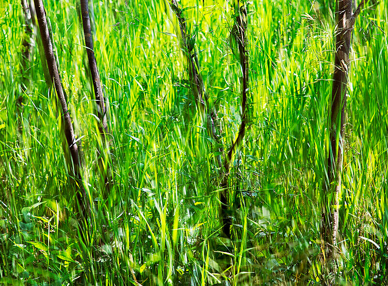 A63 - Movements, Patterns & Abstracts