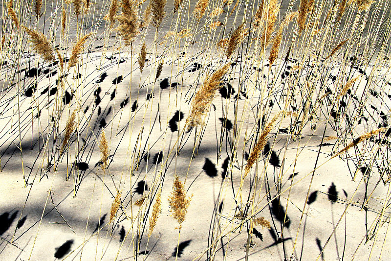 A6 - Movements, Patterns & Abstracts