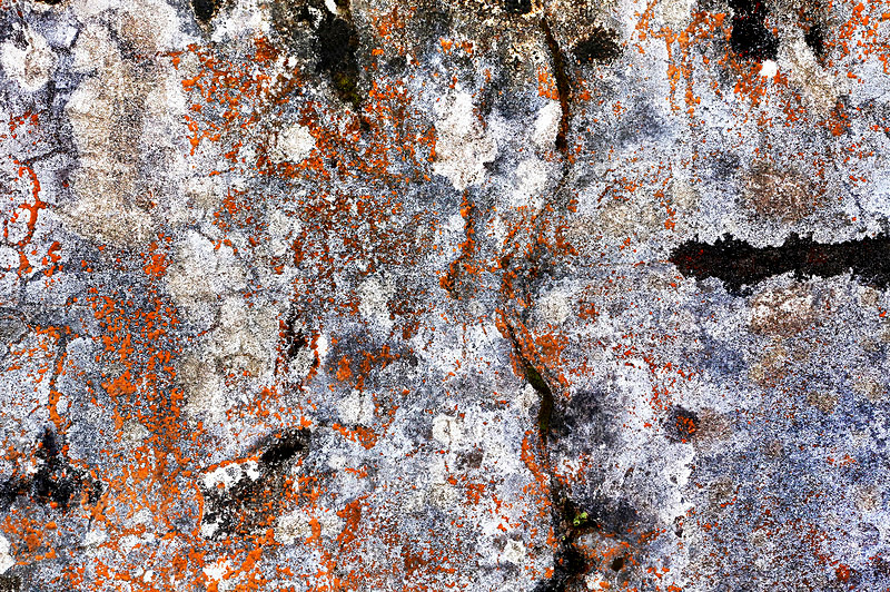 A44 - Movements, Patterns & Abstracts