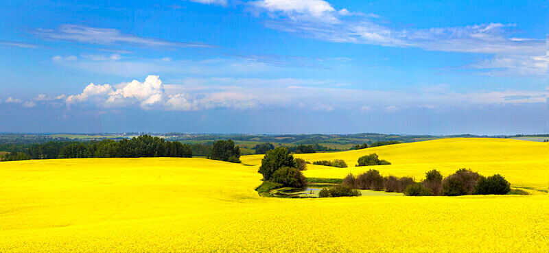 L129 - Landscapes