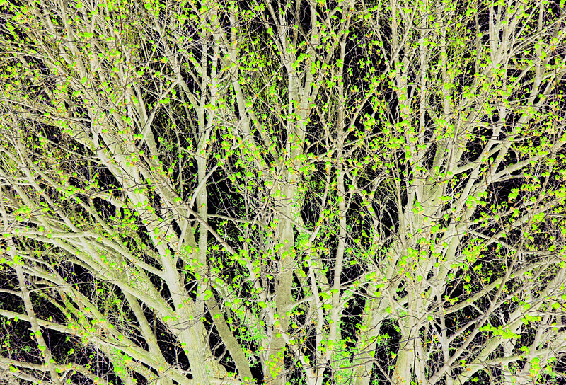 A48 - Movements, Patterns & Abstracts