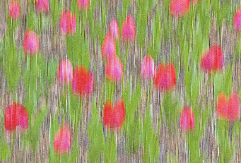 A23 - Movements, Patterns & Abstracts