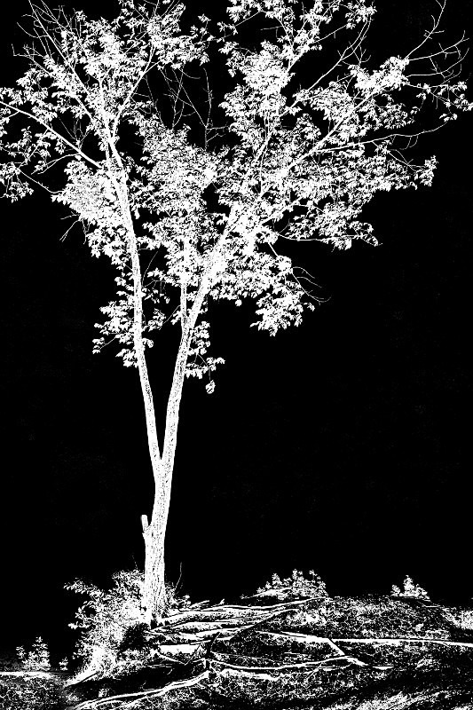 A14 - Movements, Patterns & Abstracts