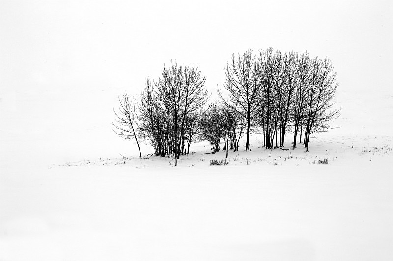 L42 - Landscapes