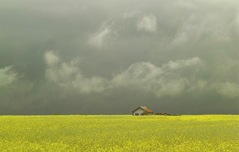 L10 - Landscapes