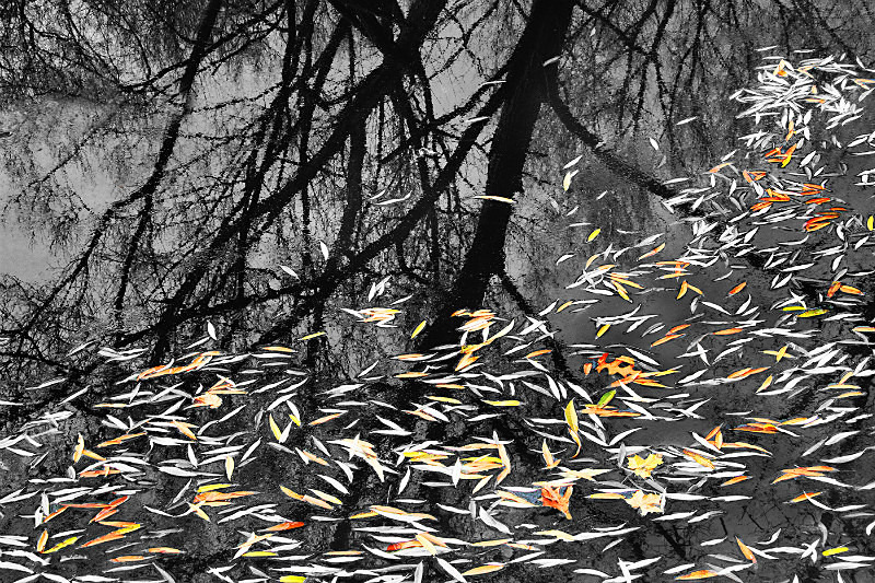 A31 - Movements, Patterns & Abstracts