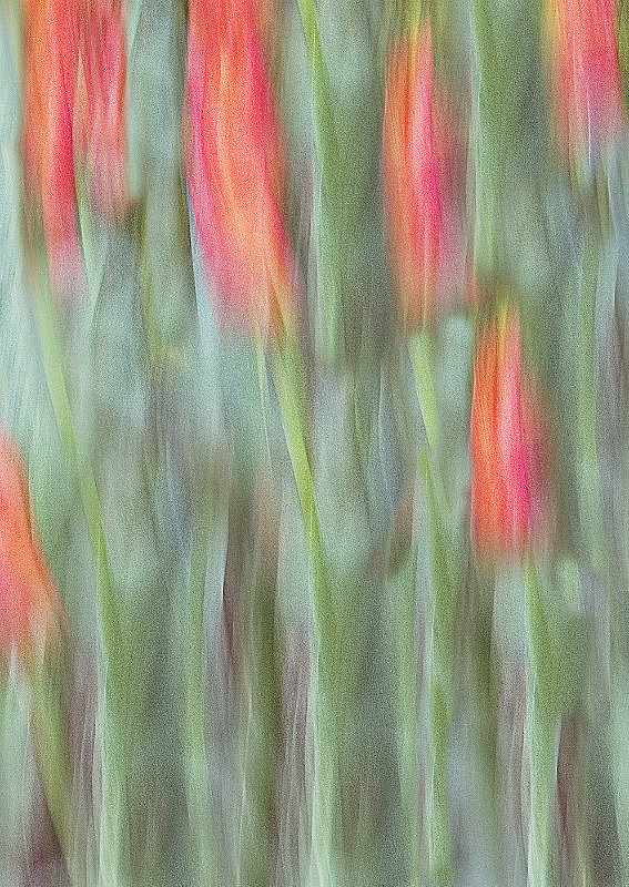 A26 - Movements, Patterns & Abstracts