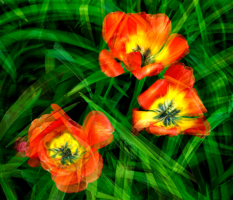 RI95 - Recent Images