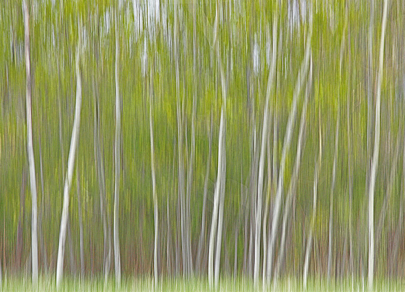 A25 - Movements, Patterns & Abstracts