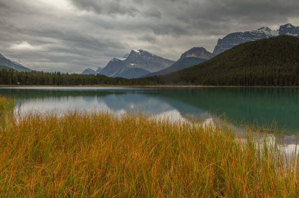 Waterfowl Lake 2 - Canada