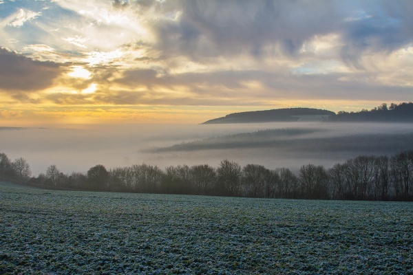 Misty morning from Bury Hill - Landscape