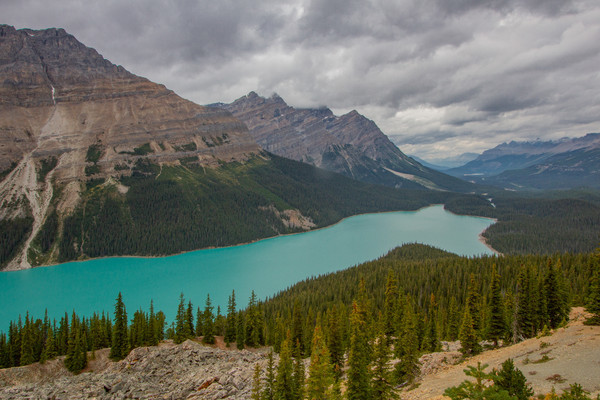 Peyto Lake - Canada