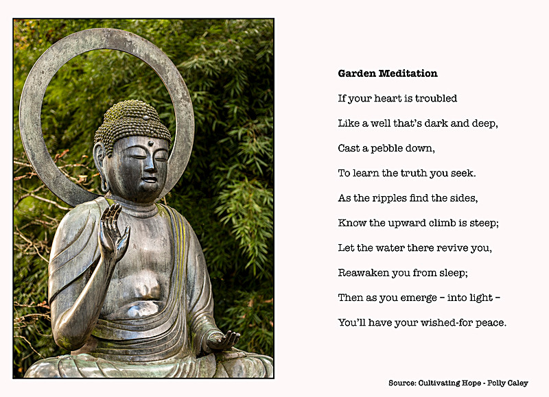 Garden Meditation - Cultivating Hope