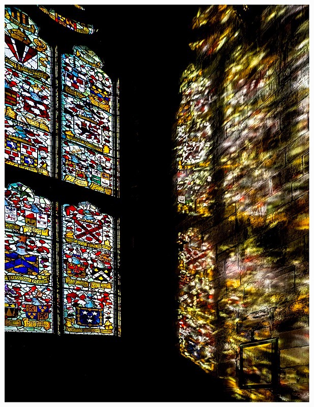 Hiding in Plain Sight - My Favourite Photographs