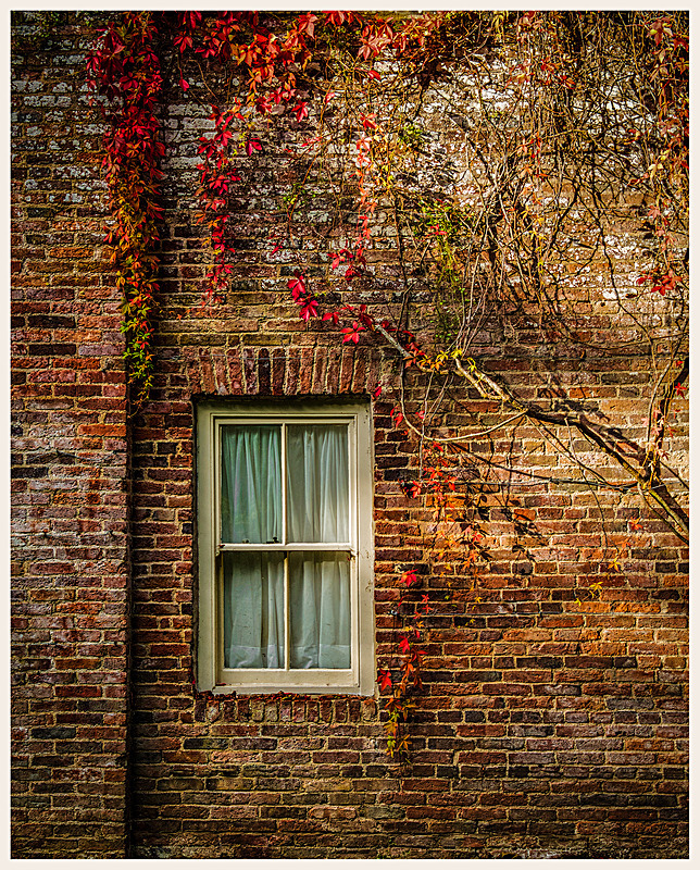  - The Eclectic Gallery