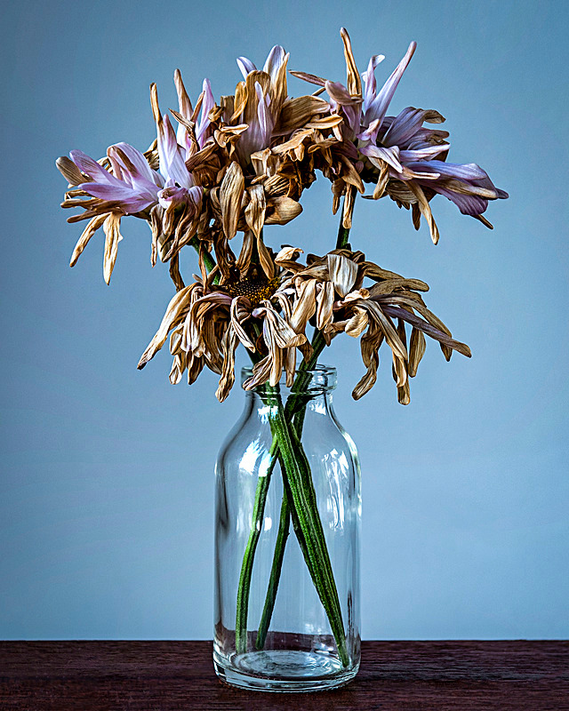 Decay - My Favourite Photographs