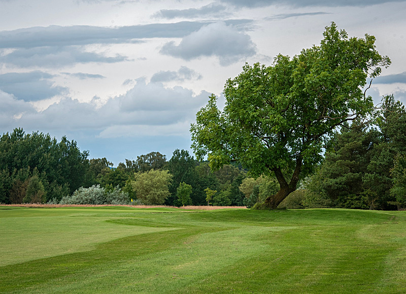Hole 15 'High Rigg' - 2025 Burgham Park Golf Club - Course Gallery