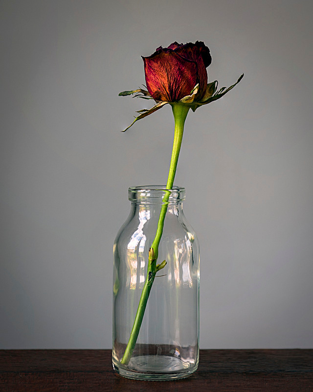  - The Eclectic Gallery